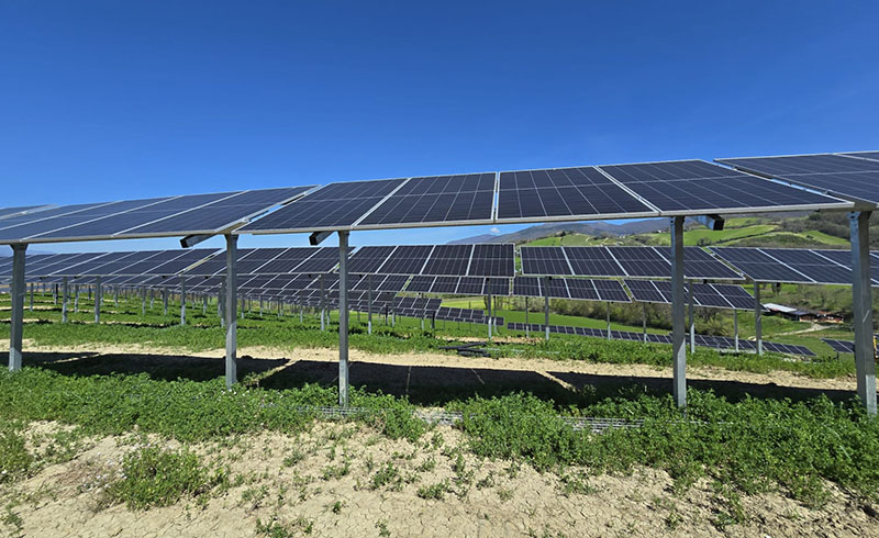 PROFENCE.ENERGYs 4-MWp-Photovoltaik-Agrarsystem für Weinberge in Italien fertiggestellt