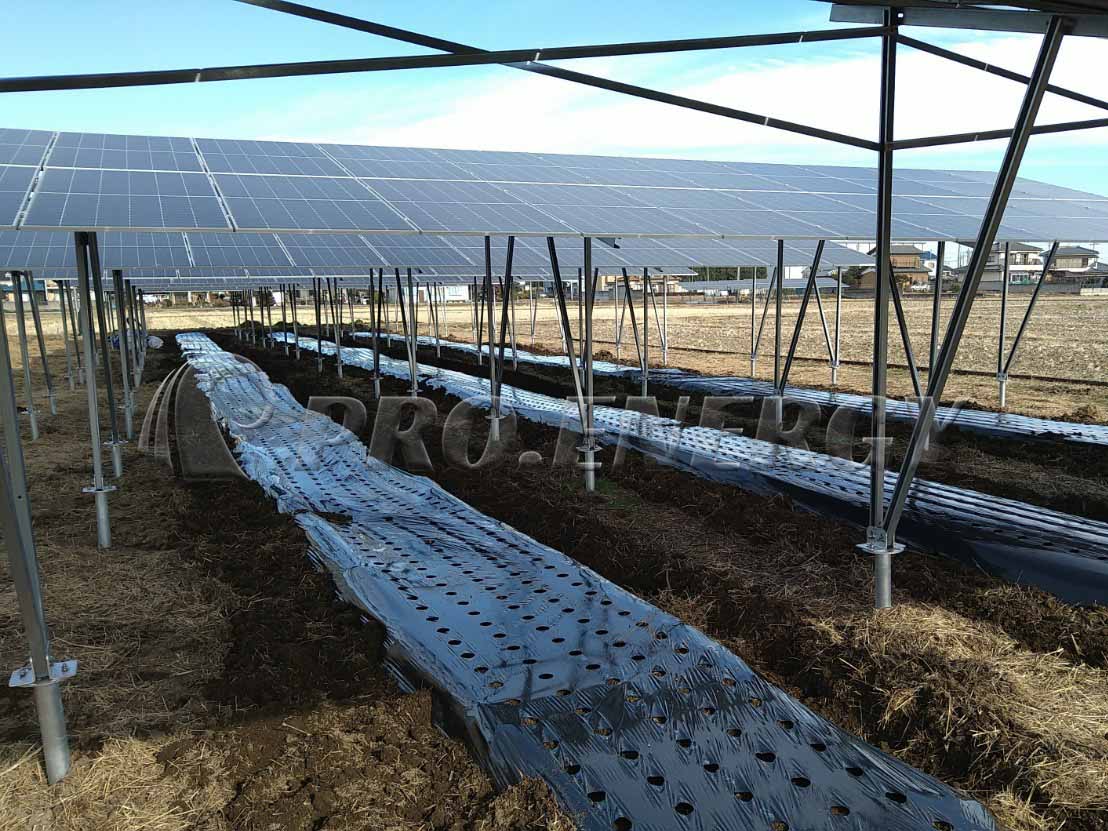 Solar Ground Mounting Structure 