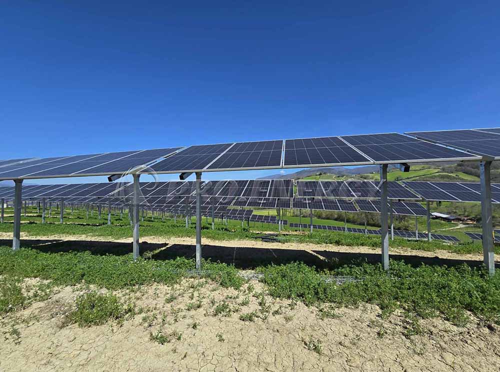  Agricultural solar array mounting solutions